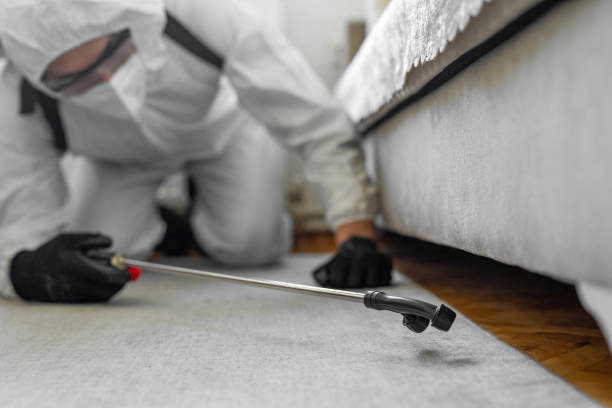 Professional Termite Control technician working in Heritage Lake, IL