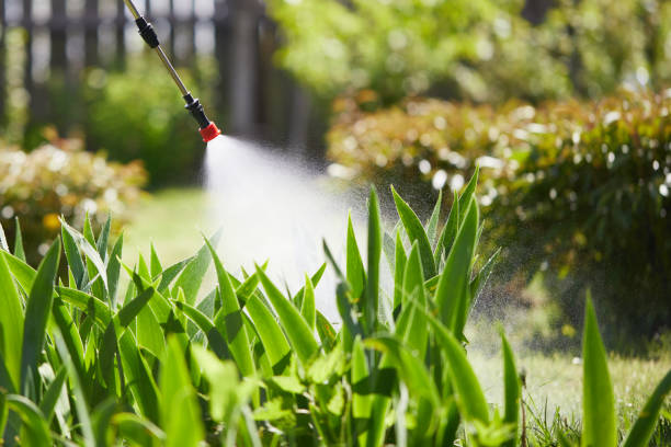 24/7 Emergency Termite Control experts in Heritage Lake, IL