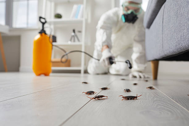 Trusted Cockroach Control service in Heritage Lake, IL - Nex Pest Control