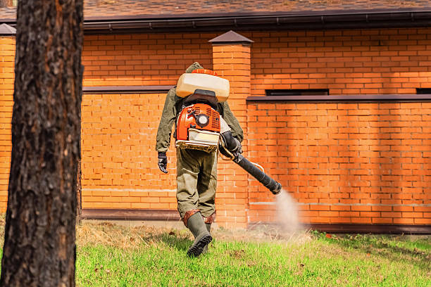 Trusted Termite Control service in Heritage Lake, IL - Nex Pest Control